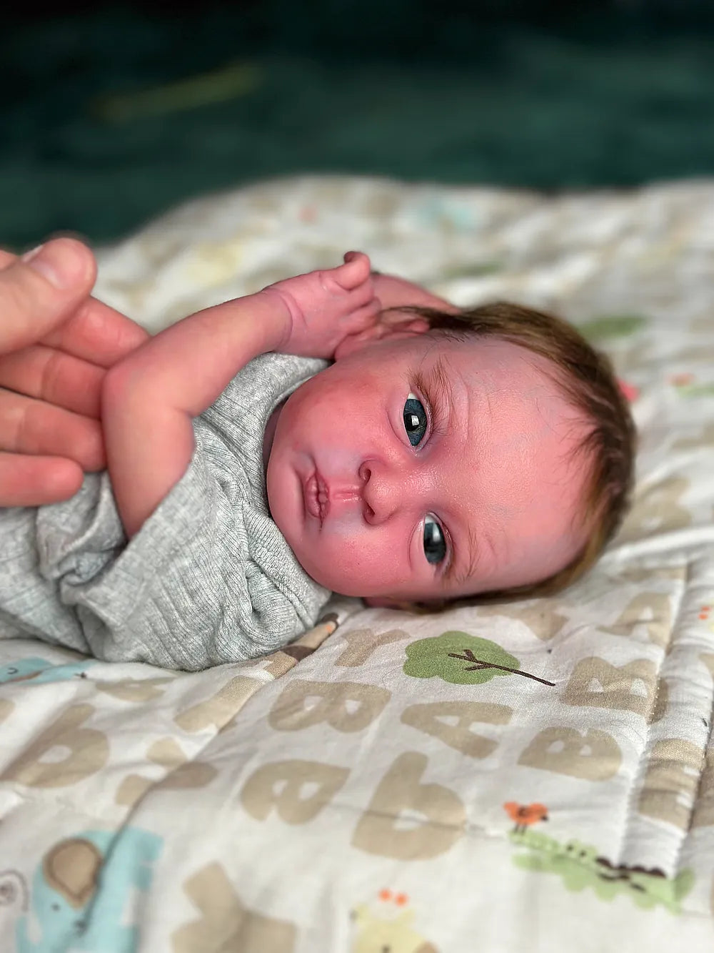 Muñeca Reborn Realista Liz niña 45cm y 1.700kg + Pack Premium