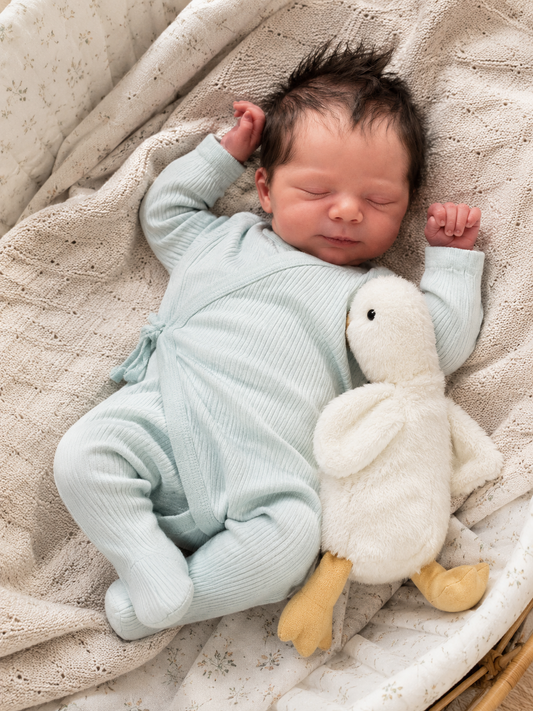 Muñeco Reborn Realista Luis niño 49cm y 1.800kg + Pack Premium