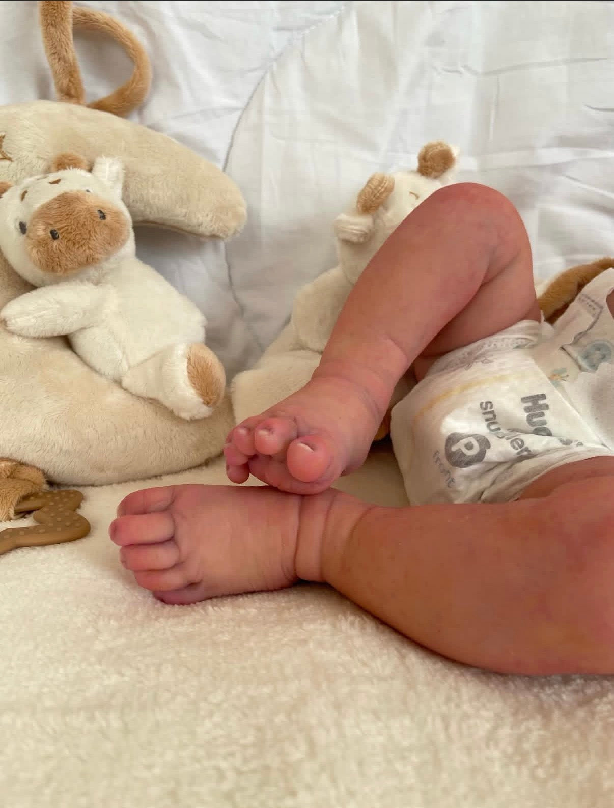 Muñeco Reborn Realista Ryan Niño  50cm y 1.700 kg + Pack Premium